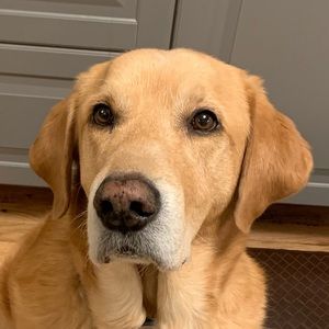 Meet your Posher, Meghan